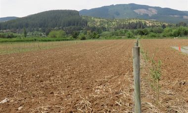 Sitio en Venta en mesamavida