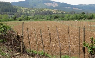 Sitio en Venta en mesamavida