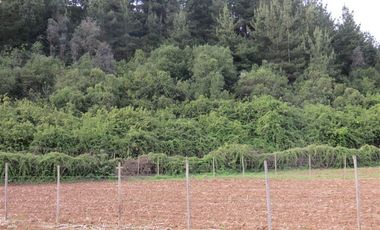 Sitio en Venta en mesamavida