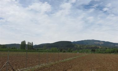 Sitio en Venta en mesamavida