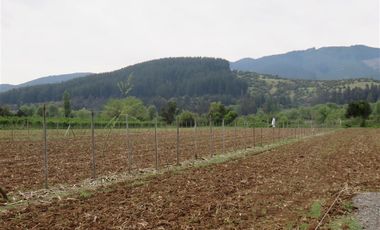 Sitio en Venta en mesamavida