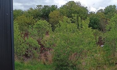Casa en Arriendo en Parcelación Los Canelos