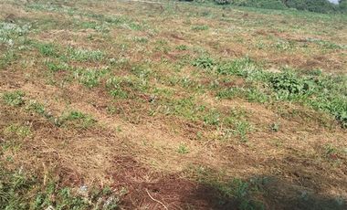 Parcela en Venta en Providencia , Talca