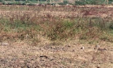 Parcela en Venta en Providencia , Talca