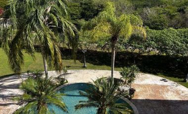 Jungle Oasis minutes from the Beach