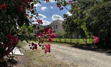 Jungle Oasis minutes from the Beach