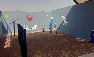 DEPARTAMENTOS EN RENTA COL ROMA SIN AVAL CUAUHTÉMOC CIUDAD DE MEXICO CDMX