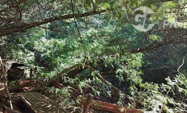 Parcela en Venta en Ruta O-406, Sector Peninhueque, Florida