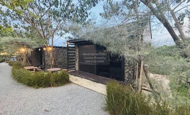 Let see Stars Resort Business for Sale - Ready for immediate takeover  CX-137800
