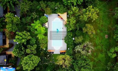 Let see Stars Resort Business for Sale - Ready for immediate takeover  CX-137800