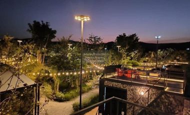 Let see Stars Resort Business for Sale - Ready for immediate takeover  CX-137800
