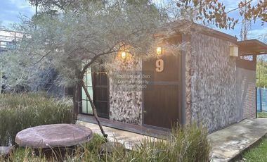 Let see Stars Resort Business for Sale - Ready for immediate takeover  CX-137800