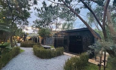 Let see Stars Resort Business for Sale - Ready for immediate takeover  CX-137800