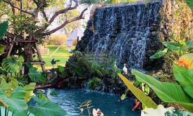 Let see Stars Resort Business for Sale - Ready for immediate takeover  CX-137800