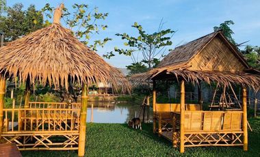 Let see Stars Resort Business for Sale - Ready for immediate takeover  CX-137800