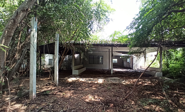 Two one-story detached houses for sale, Bo Ploi, Kanchanaburi, good location, next to the main road. Nearby areas are low to medium density residentia