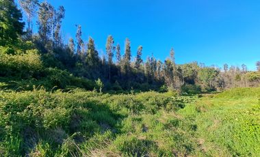 Parcela de 5.11 ha con proyección habitacional y turística