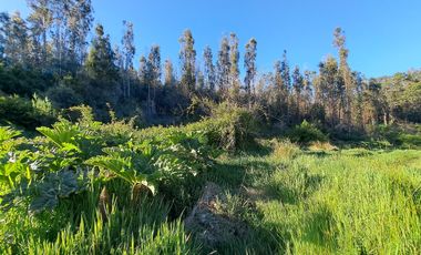 Parcela de 5.11 ha con proyección habitacional y turística