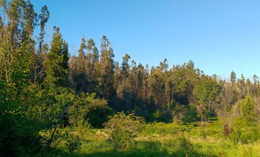 Parcela de 5.11 ha con proyección habitacional y turística