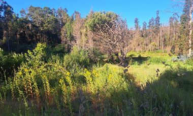 Parcela de 5.11 ha con proyección habitacional y turística