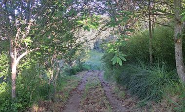 Parcela de 5.11 ha con proyección habitacional y turística