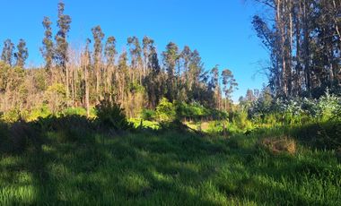 Parcela de 5.11 ha con proyección habitacional y turística