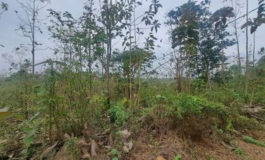 Finca en Venta, Ventanas, Los Rios  AleR