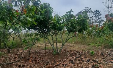 Finca en Venta, Ventanas, Los Rios  AleR