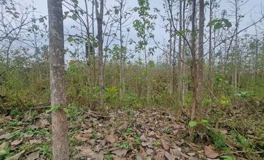 Finca en Venta, Ventanas, Los Rios  AleR