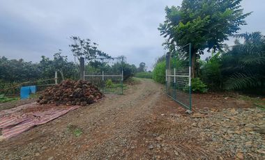 Finca en Venta, Ventanas, Los Rios  AleR