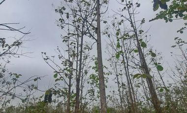 Finca en Venta, Ventanas, Los Rios  AleR