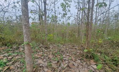 Finca en Venta, Ventanas, Los Rios  AleR