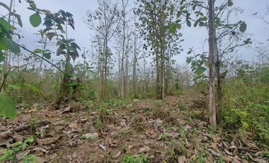 Finca en Venta, Ventanas, Los Rios  AleR