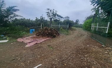 Finca en Venta, Ventanas, Los Rios  AleR