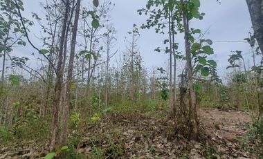 Finca en Venta, Ventanas, Los Rios  AleR