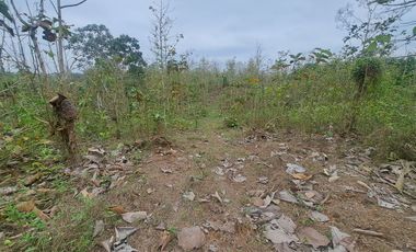 Finca en Venta, Ventanas, Los Rios  AleR