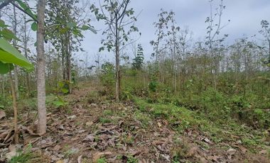 Finca en Venta, Ventanas, Los Rios  AleR