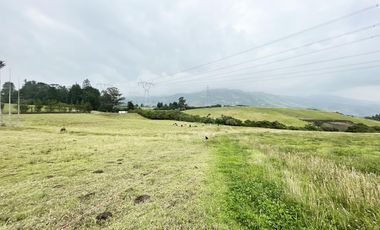 VENDO TERRENO AGRÍCOLA EN EL INGA - PIFO