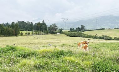 VENDO TERRENO AGRÍCOLA EN EL INGA - PIFO