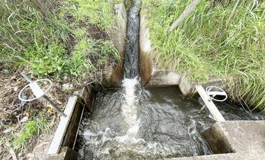 VENDO TERRENO AGRÍCOLA EN EL INGA - PIFO