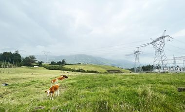 VENDO TERRENO AGRÍCOLA EN EL INGA - PIFO