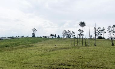 VENDO TERRENO AGRÍCOLA EN EL INGA - PIFO
