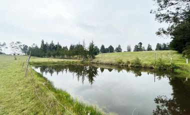 VENDO TERRENO AGRÍCOLA EN EL INGA - PIFO