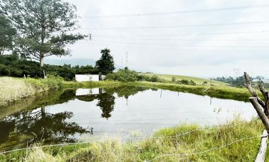 VENDO TERRENO AGRÍCOLA EN EL INGA - PIFO