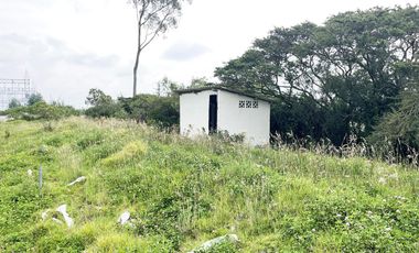VENDO TERRENO AGRÍCOLA EN EL INGA - PIFO