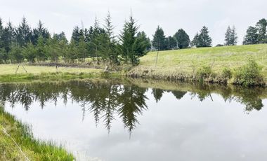 VENDO TERRENO AGRÍCOLA EN EL INGA - PIFO