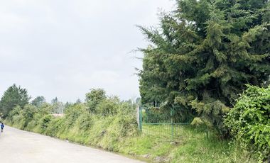 VENDO TERRENO AGRÍCOLA EN EL INGA - PIFO