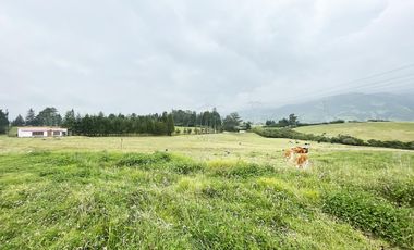 VENDO TERRENO AGRÍCOLA EN EL INGA - PIFO