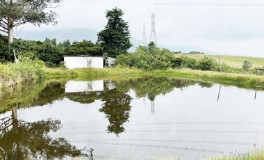 VENDO TERRENO AGRÍCOLA EN EL INGA - PIFO