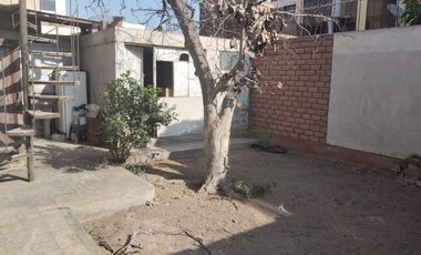 Casa 215 M2, Con Licencia Para Atención Al Publico, Av Alejandro Bertello, Limite Con Pueblo Libre